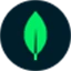 MongoDB logo